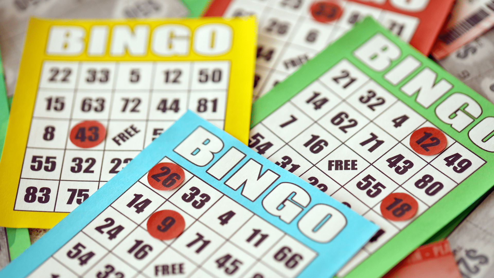 bingo cards